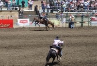 Crop_dsc00499