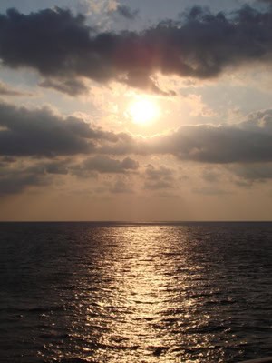 Dsc05126