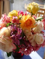 Dsc05270 Dsc05270