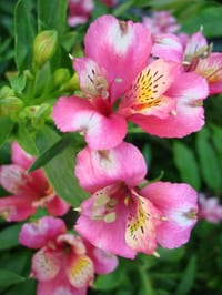 Dsc05305