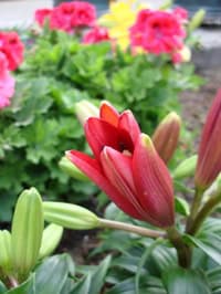 Dsc05471_2