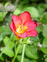 Dsc05868