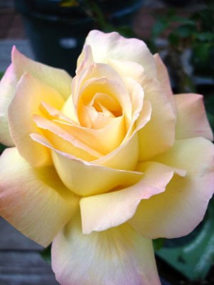 Edit_dsc05493