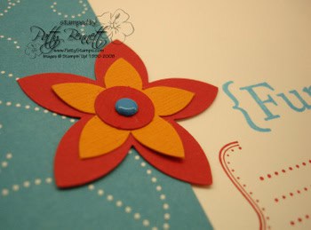 Close_up_flower_1_6x6