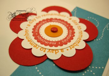 Close_up_flower_2_6x6