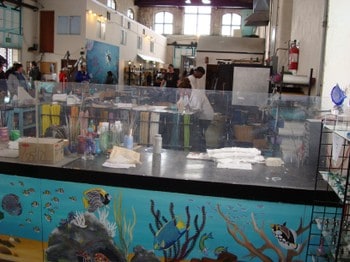 Sm_dsc00309 Sm_dsc00309