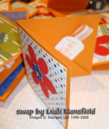Swap_leah