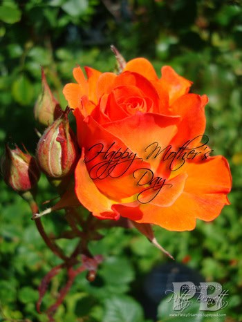 Moms_day_3