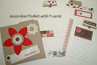 Accordion pocket with cards
