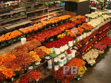 Float flowers 1