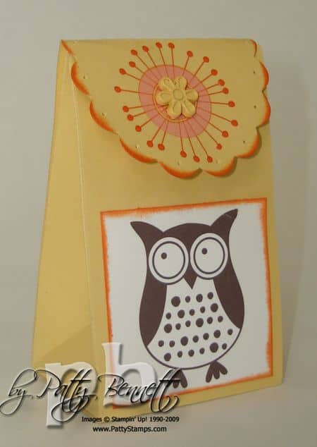 Owl box