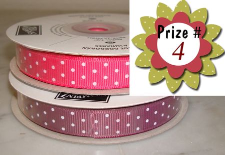 Prize 4