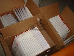 Cattys to mail