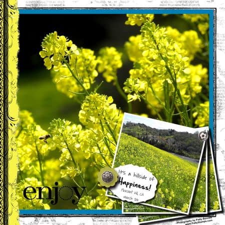 Mustard seed flowers-002 Mustard seed flowers-002