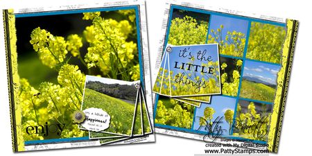 Mustard seed pgs Mustard seed pgs