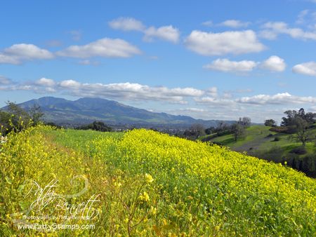 Mt diablo