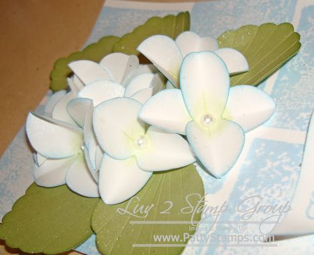 Cindee flower 5 Cindee flower 5