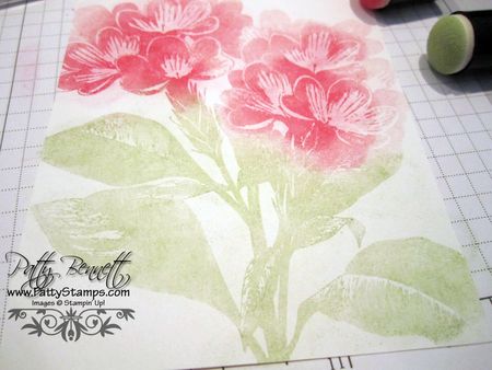 Pastel pink 5