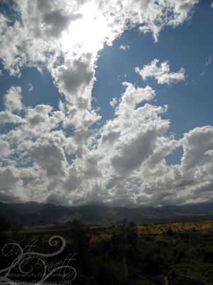 Nevada 2a