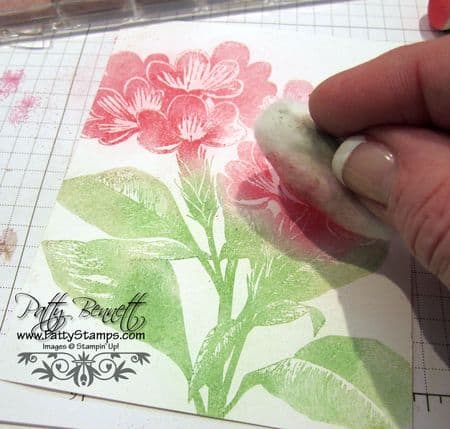 Pastel pink 7