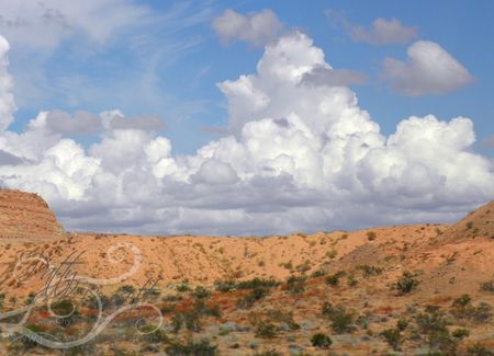 Nevada 1a