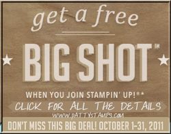 GET FREE BIG SHOT