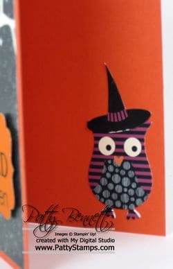 Halloween hybrid inside