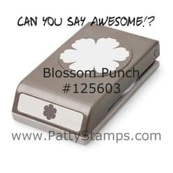 125603 blossom punch