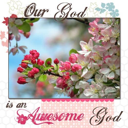 Cherry blossoms 5