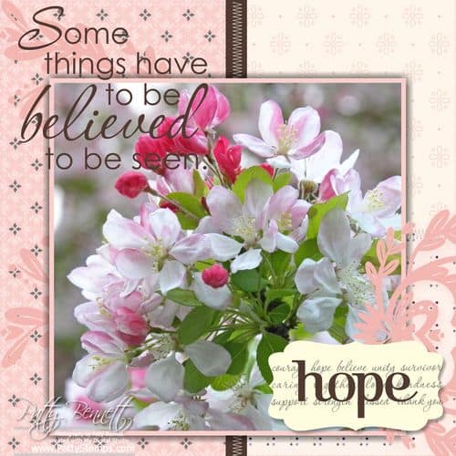 Cherry blossoms 6