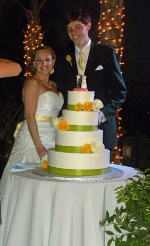 David holly cake David holly cake
