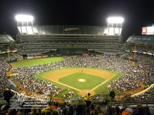 Fans on the field