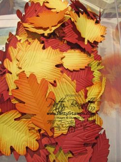 Autumn accents leaves