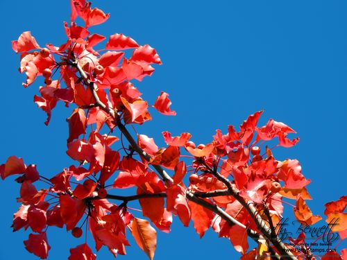 Fall 2012 9