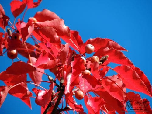 Fall 2012 5