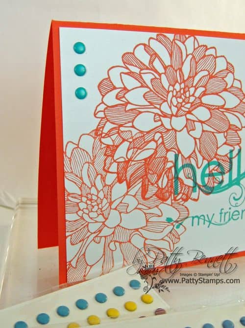 Regarding dahlias candy dots bermuda Regarding dahlias candy dots bermuda