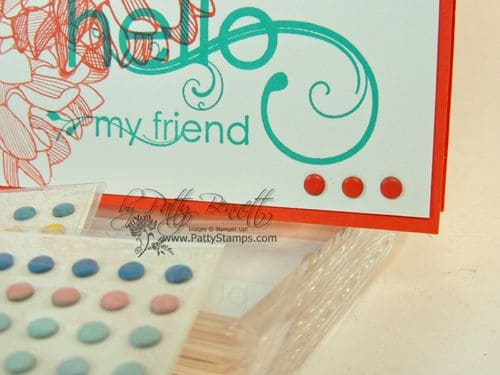 Regarding dahlias candy dots coral Regarding dahlias candy dots coral