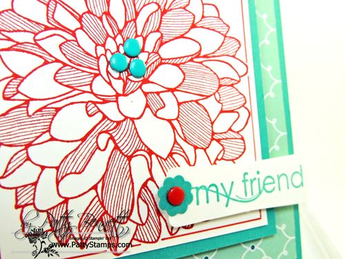 Regarding dahlias border friend 2