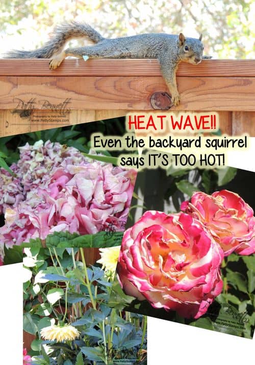 Heat wave too hot