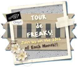 Tourdefreaks2013
