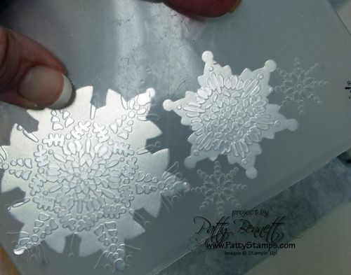 Cindee-snowflake-banner-class-silver-paper