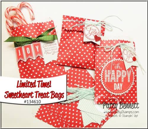 134610-sweetheart-treat-bags