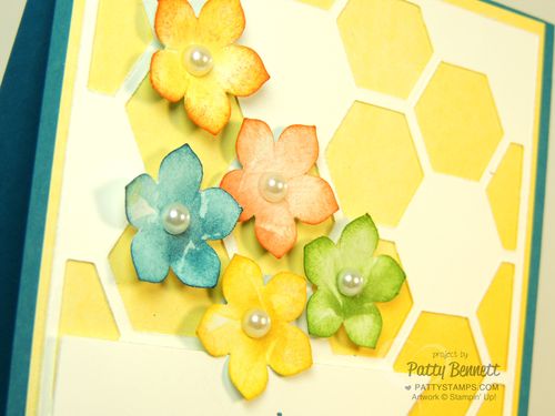 Hexagon-hive-watercolor-wonder-petite-petals