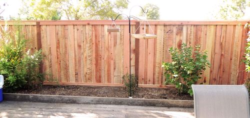 Backyard-fence