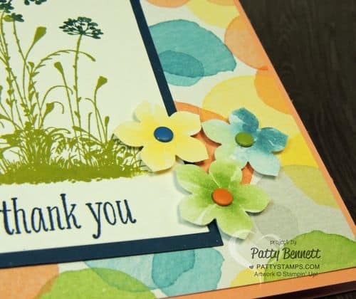 Watercolor-wonder-dsp-petite-petal-punch-candy-dots Watercolor-wonder-dsp-petite-petal-punch-candy-dots