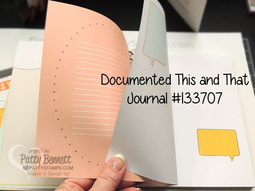 Documented-this-that-journal-pages