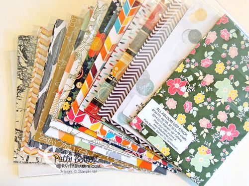 2014-2015-stampin-up-dsp
