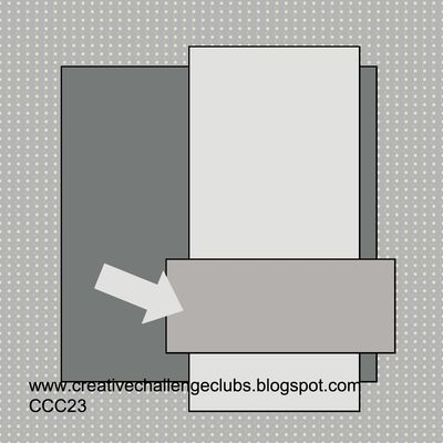 Ccc23-001 Ccc23-001