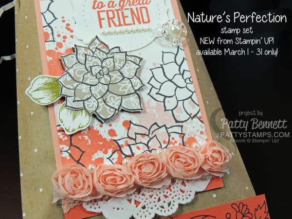 Natures-perfection-gift-bag-sale-a-bration-pattystamps-stampin-up-2