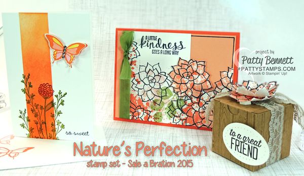 Natures-perfection-cards-box-sale-a-bration